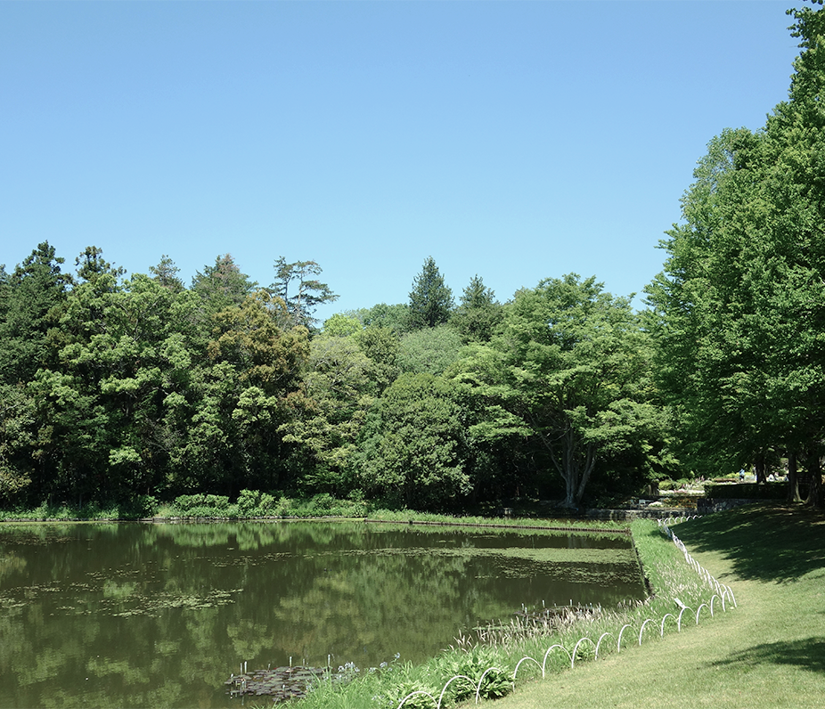 access-kankyou-1.jpg