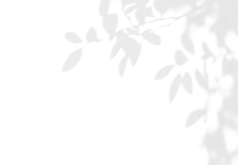 leaf silhouette c