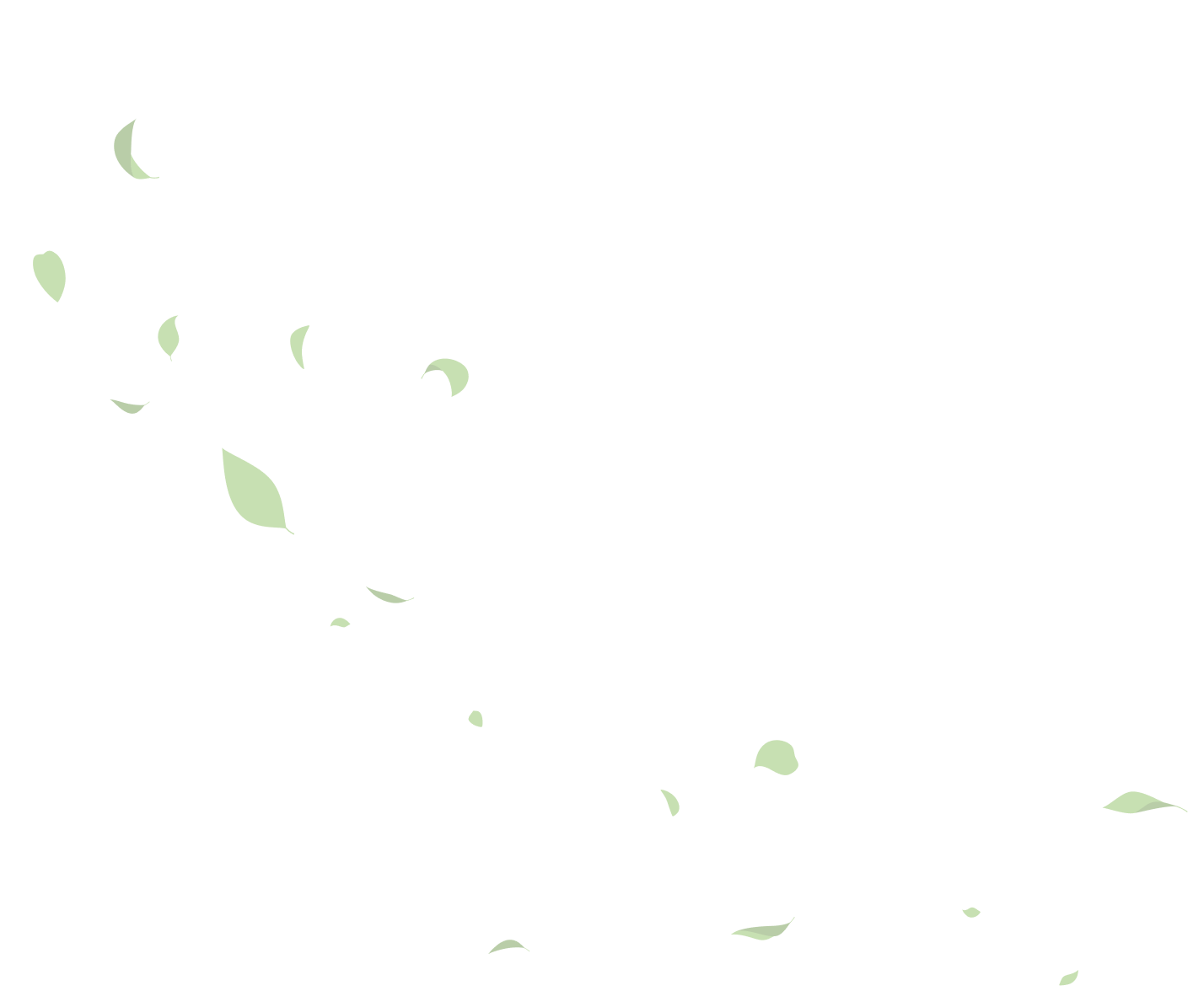 leaves