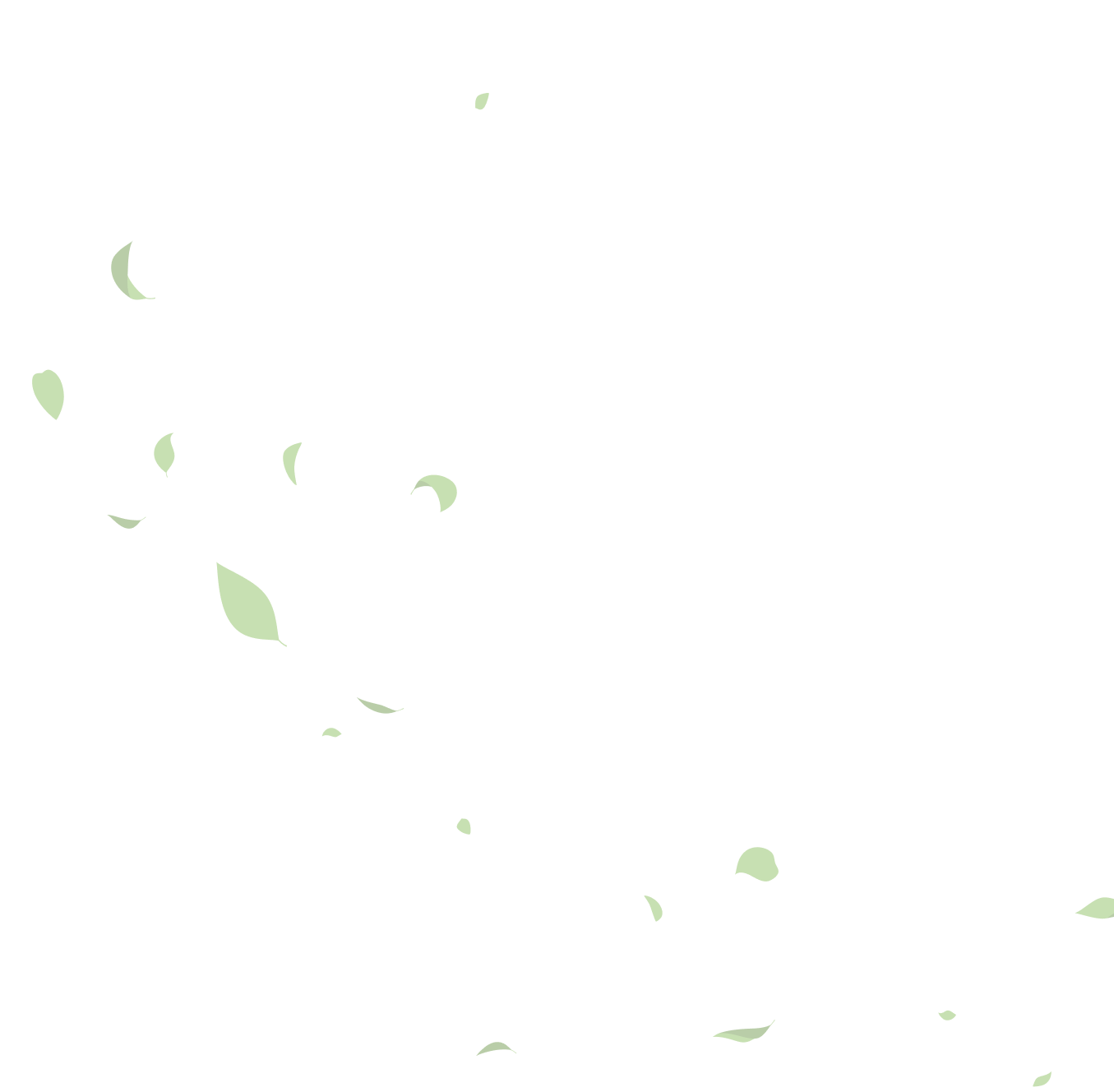 leaves