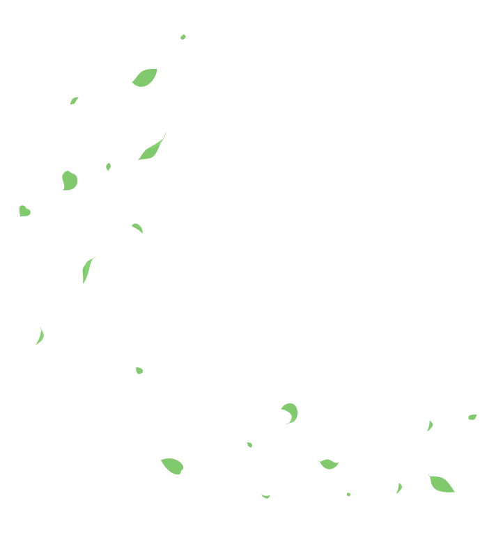 leaves