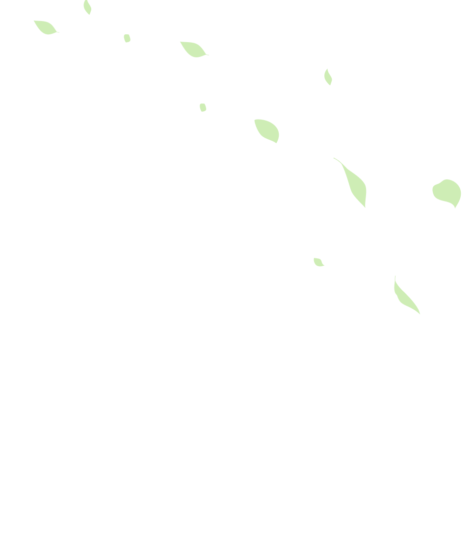leaf-sb-1.png