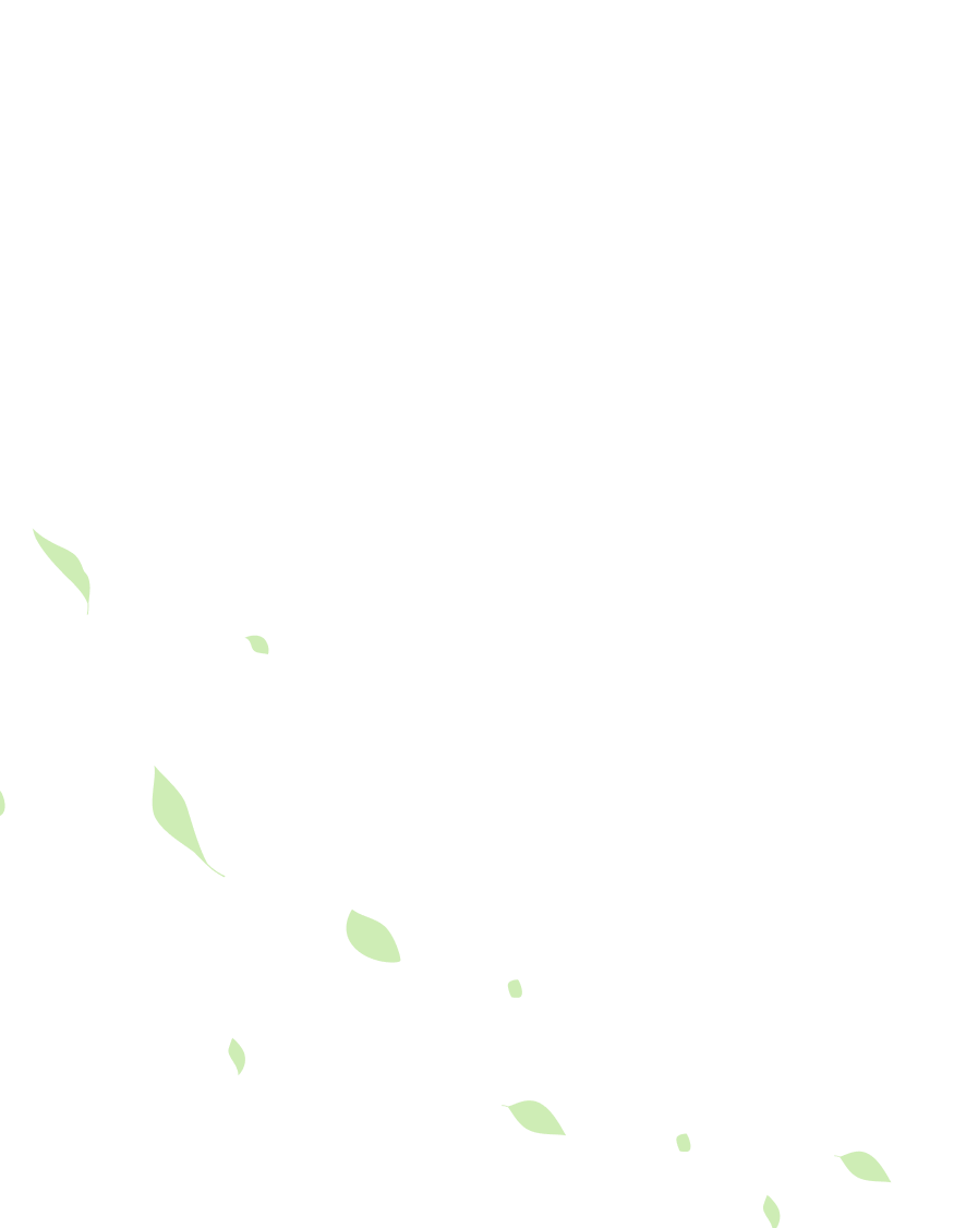 leaf-sb-2.png